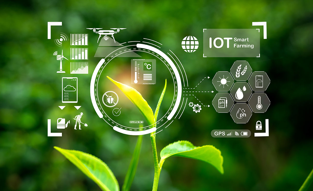 IoT in Agricultural Operations